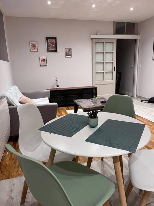 Proche Gare, Cosy, Courte Et Moyenne Duree Apartman Bellegarde-sur-Valserine Kültér fotó