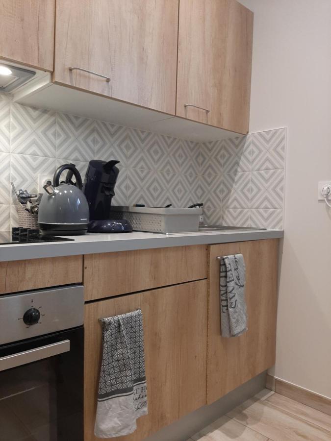 Proche Gare, Cosy, Courte Et Moyenne Duree Apartman Bellegarde-sur-Valserine Kültér fotó